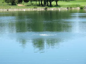 aqua air