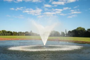 fontaine lakewood
