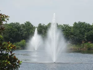 fontaine flottante