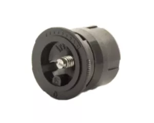 ipn-15q