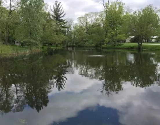 etang 2